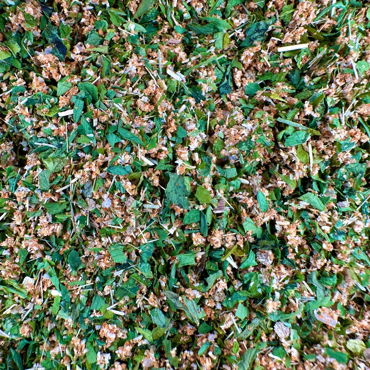 AVOCADO UND DIE WÜRZE HILFT SOFORT