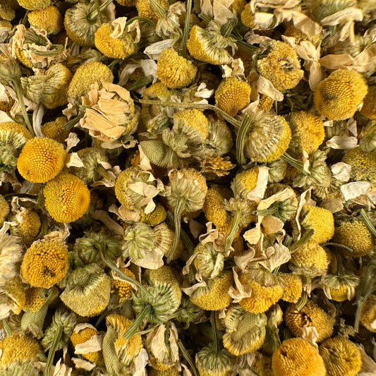 KAMILLE statt Promille