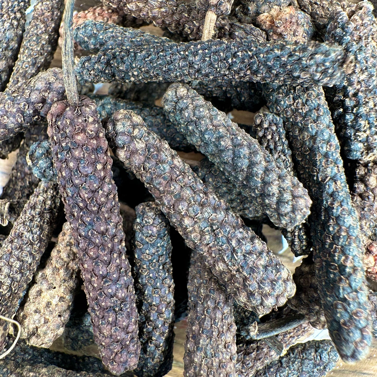 PFEFFER LANG SCHWARZ